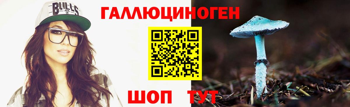 Гусь-Хрустальный  Псилоцибиновые грибы прущие грибы  Вход с VPN 